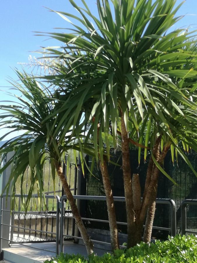 Residenza Orchidee Aparthotel Lazise Exterior foto